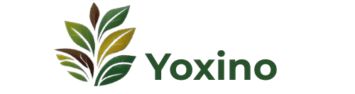 Yoxino
